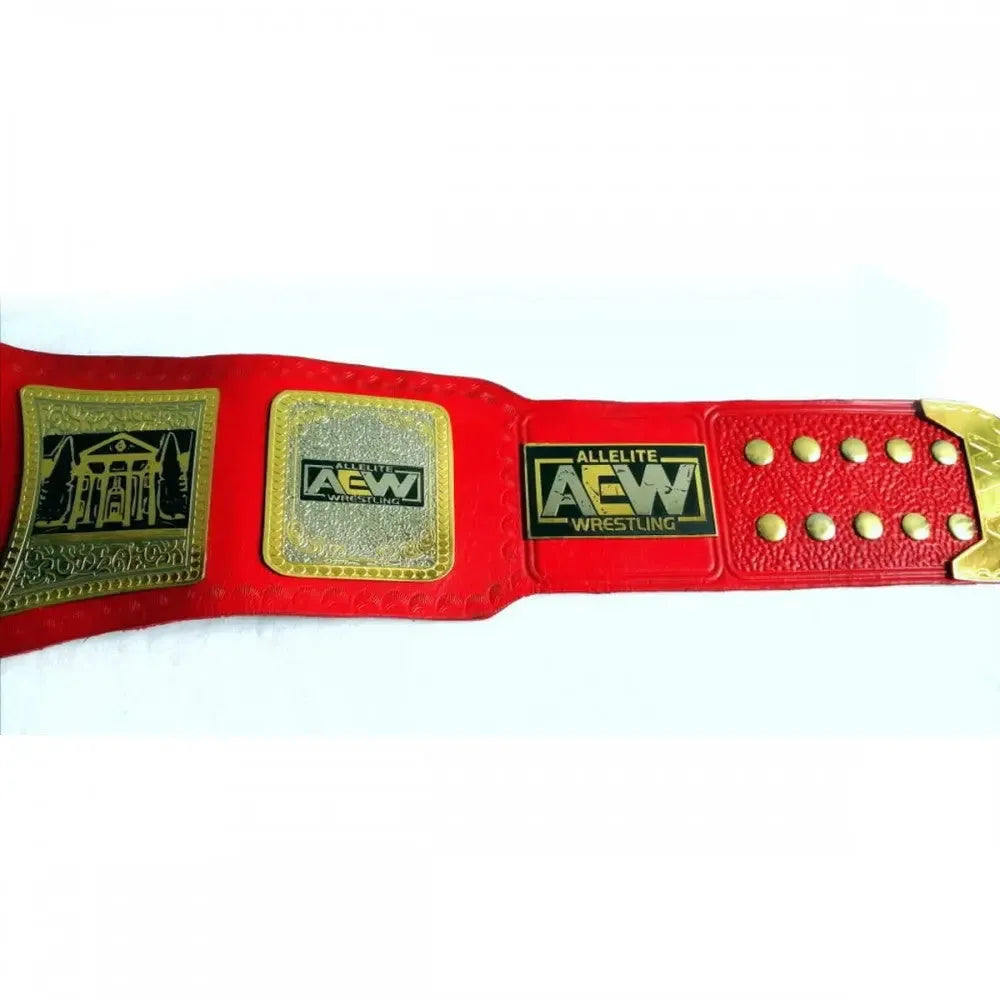 AEW TNT Wrestling Championship Belts