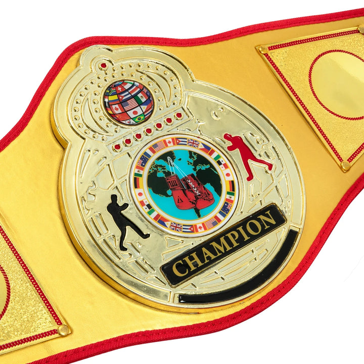 Gold Flash Title Belt
