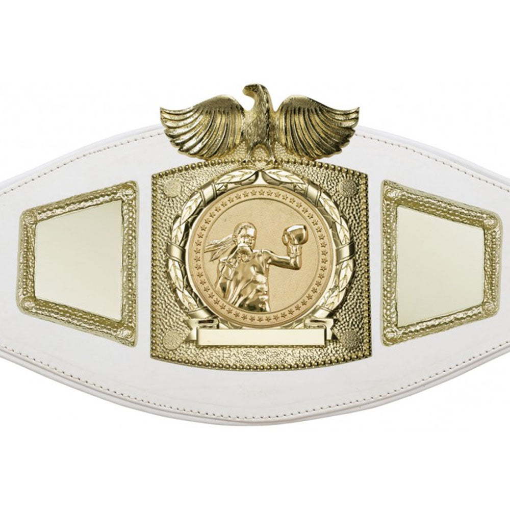 Boxing Championship belt