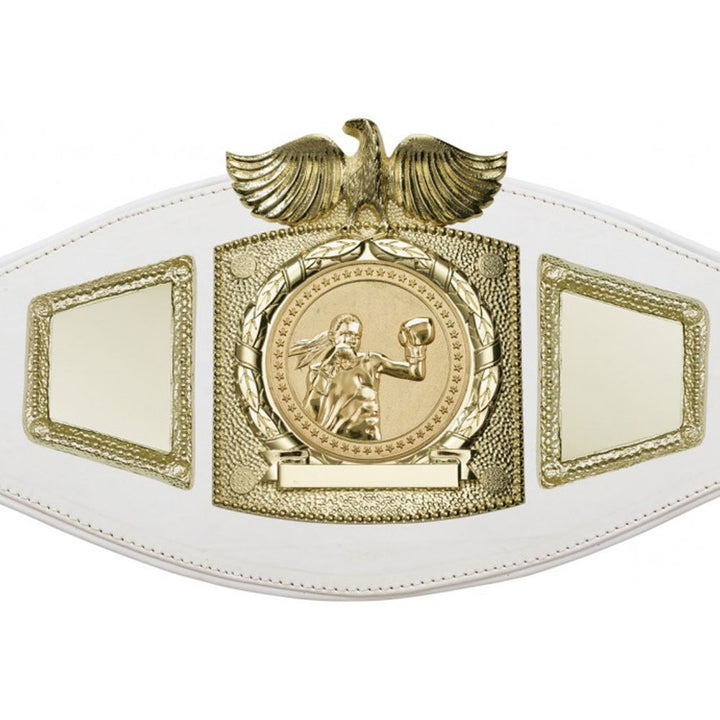 Boxing Championship belt