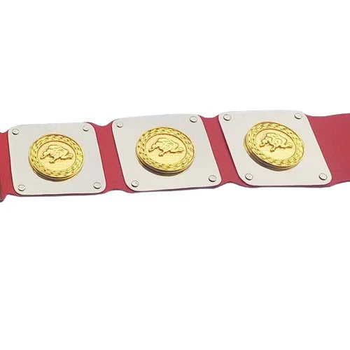 WWWF North American title Heavyweight Wrestling Champion Belt
